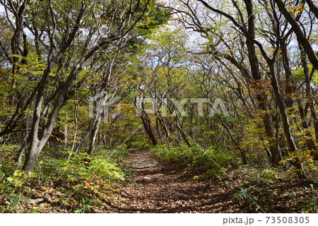 那須平成の森へ行きました  #47 那須平成の森へ行きました  #47 73508305