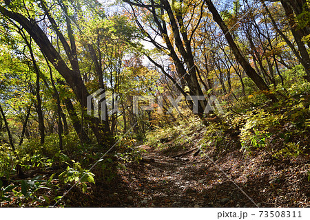 那須平成の森へ行きました　　＃41 73508311