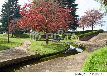 姿川アメニティーパーク 73508343