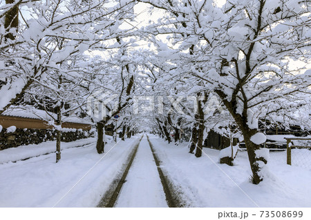 雪の秋月城址 73508699