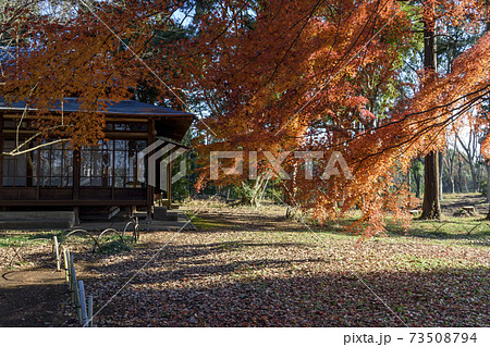 旧岩崎家末廣別邸の紅葉 旧岩崎家末廣別邸の紅葉 73508794
