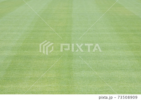 ラグビー場芝生 ラグビー場芝生 73508909