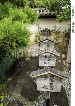 南都鏡神社 比賣神社 奈良県奈良市 南都鏡神社 比賣神社 奈良県奈良市 73508929