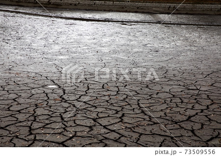 かいぼり 73509556