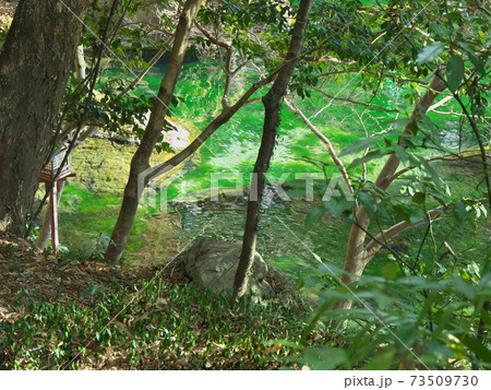 出流原弁天池 出流原弁天池 73509730