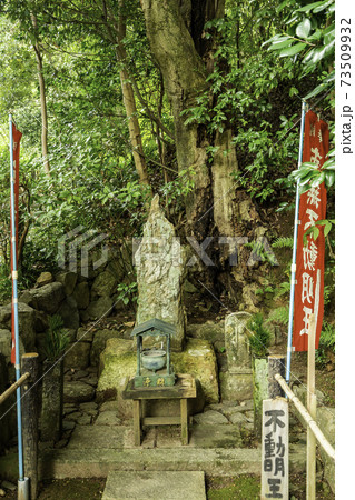 白毫寺 不動明王 奈良県奈良市 白毫寺 不動明王 奈良県奈良市 73509932