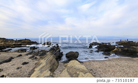 城ヶ島の早春 城ヶ島の早春 73510197