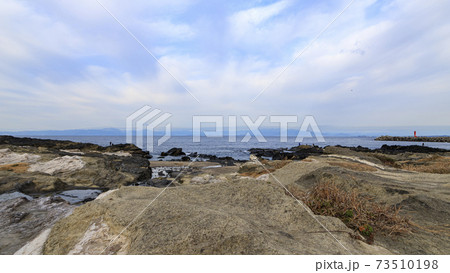 城ヶ島の早春 73510198