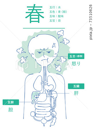 陰陽五行　春　青緑　肝　胆　怒り 73510626