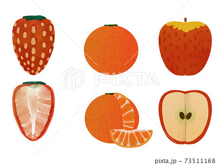 果物 断面図のイラスト素材