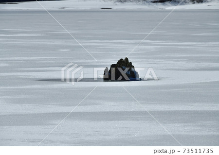 裏磐梯桧原湖・結氷の湖面に雪模様と朽木 裏磐梯桧原湖・結氷の湖面に雪模様と朽木 73511735