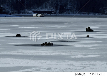 裏磐梯桧原湖・結氷の湖面に雪模様と朽木に釣り小屋船 裏磐梯桧原湖・結氷の湖面に雪模様と朽木に釣り小屋船 73511736