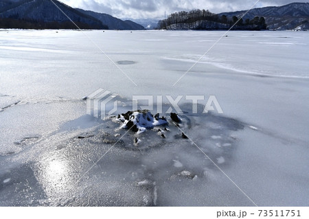 裏磐梯桧原湖・結氷の湖面に雪模様と朽木 裏磐梯桧原湖・結氷の湖面に雪模様と朽木 73511751