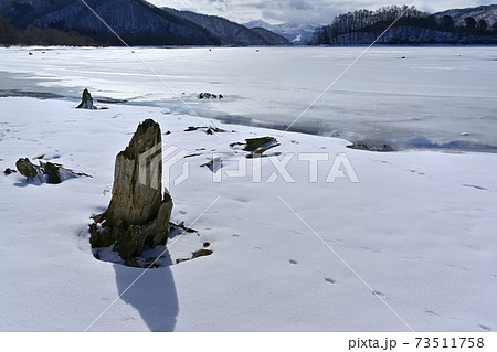 裏磐梯桧原湖・結氷の湖面に雪模様と朽木に磐梯山 裏磐梯桧原湖・結氷の湖面に雪模様と朽木に磐梯山 73511758