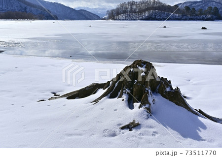 裏磐梯桧原湖・結氷の湖面に雪模様と朽木に磐梯山 裏磐梯桧原湖・結氷の湖面に雪模様と朽木に磐梯山 73511770