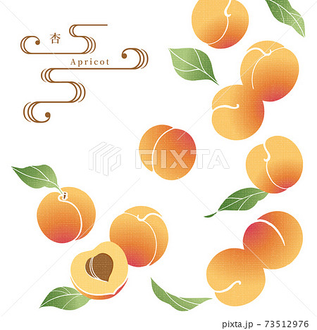 アプリコットのイラスト/手ぬぐい風/和柄 73512976