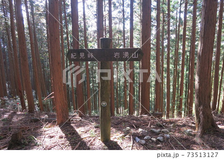 岩湧山～ダイヤモンドトレール～ 73513127