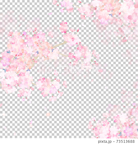 桜の素材 - 複数のバリエーションがあります 73513688