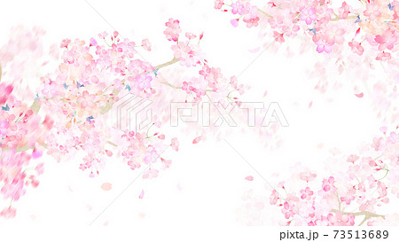 桜の素材 - 複数のバリエーションがあります 73513689