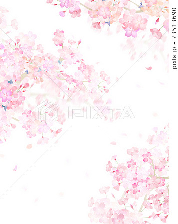桜の素材 - 複数のバリエーションがあります 73513690