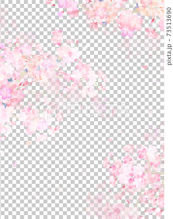 桜の素材 - 複数のバリエーションがあります 73513690