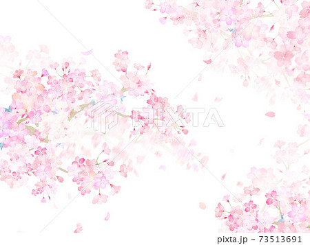 桜の素材 - 複数のバリエーションがあります 73513691