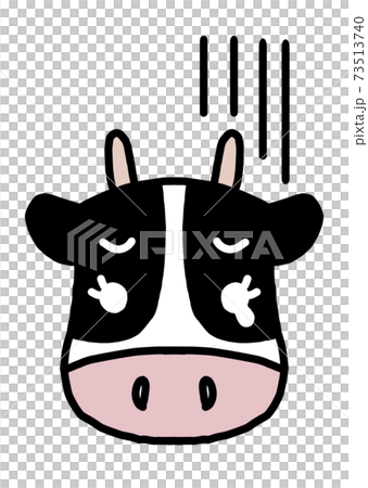 Cute Holstein cow facing the front (sad, white background) 73513740