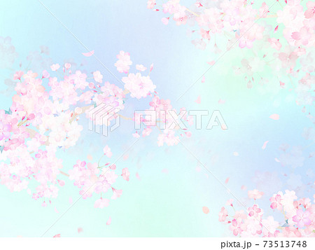桜の背景 - 複数のバリエーションがあります 73513748