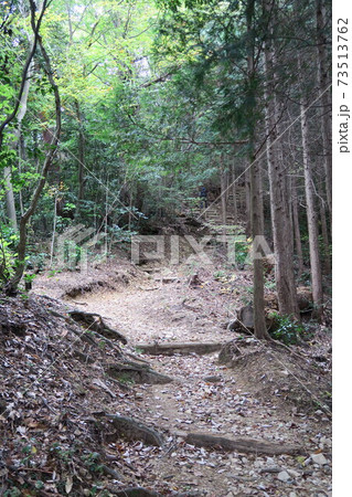岩湧山~急坂の道~ 岩湧山~急坂の道~ 73513762