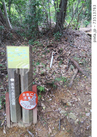 岩湧山~急坂の道~ 岩湧山~急坂の道~ 73513763