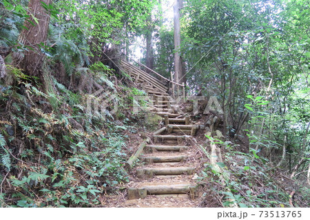 岩湧山~急坂の道~ 岩湧山~急坂の道~ 73513765