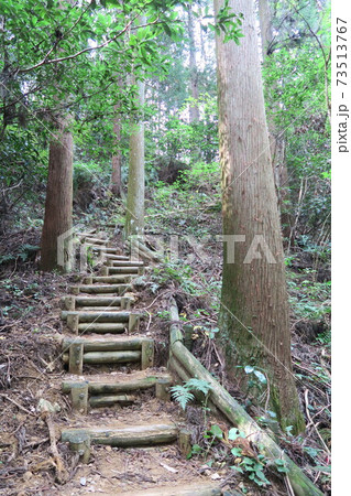 岩湧山~急坂の道~ 岩湧山~急坂の道~ 73513767