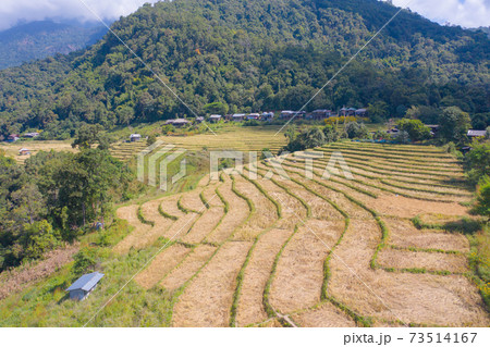 Aerial top view of dry paddy rice terraces, green agricultural fields in countryside, mountain hills valley in Asia, Pabongpieng, Chiang Mai, Thailand. Nature landscape. Crops harvest. drought Aerial top view of dry paddy rice terraces, green agricultural fields in countryside, mountain hills valley in Asia, Pabongpieng, Chiang Mai, Thailand. Nature landscape. Crops harvest. drought 73514167