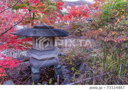 （群馬県）伊香保温泉　石段アルウィン公園　紅葉 73514867