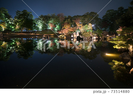 彦根城　玄宮園ライトアップ 73514880