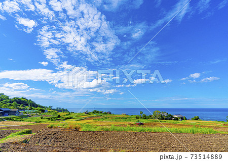 京都 袖志の棚田(初秋) 京都 袖志の棚田(初秋) 73514889
