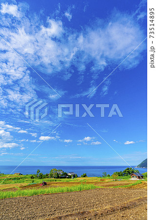 京都 袖志の棚田(初秋) 京都 袖志の棚田(初秋) 73514895