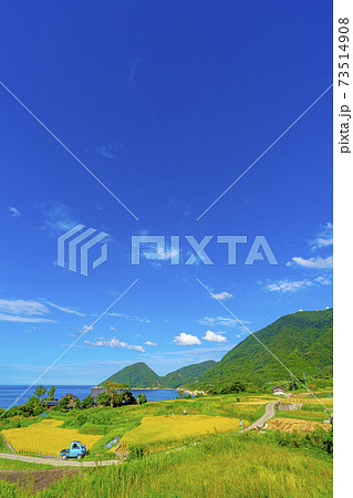 京都　袖志の棚田（初秋）　　　 73514908