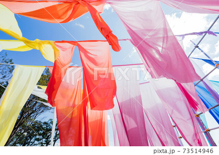 滋賀県 琵琶湖の見える丘 虹のカーテン 73514946