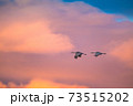 Sandhill cranes flying with dramatic sky over American Southwest 73515202