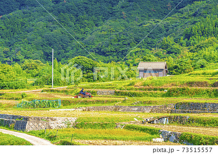 京都　袖志の棚田（初秋）　 73515557