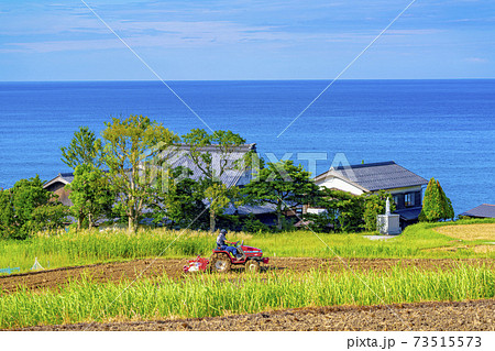 京都 袖志の棚田(初秋) 京都 袖志の棚田(初秋) 73515573