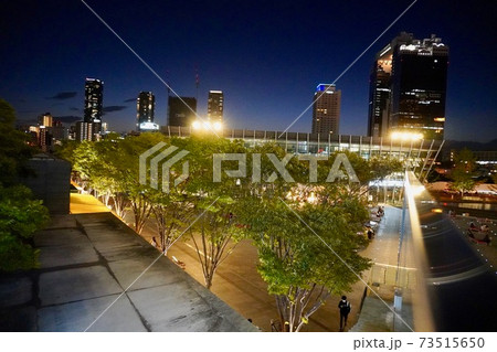 大阪梅田のビル群の夜の風景 大阪梅田のビル群の夜の風景 73515650