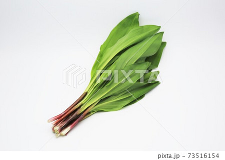 行者ニンニク 73516154