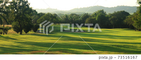 beautiful golf course at the sunset, sunrise time. , morning time beautiful golf course at the sunset, sunrise time. , morning time 73516167