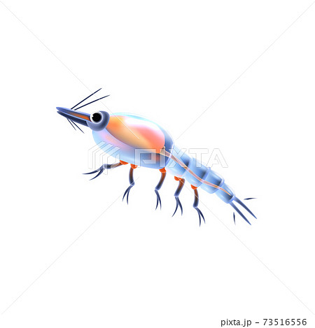 Realistic Plankton Icon 73516556