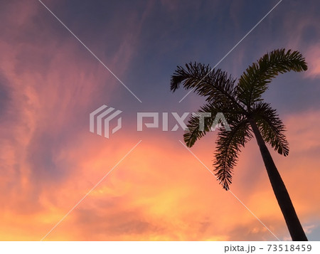ヤシの木と美しいオレンジのサンセット ヤシの木と美しいオレンジのサンセット 73518459
