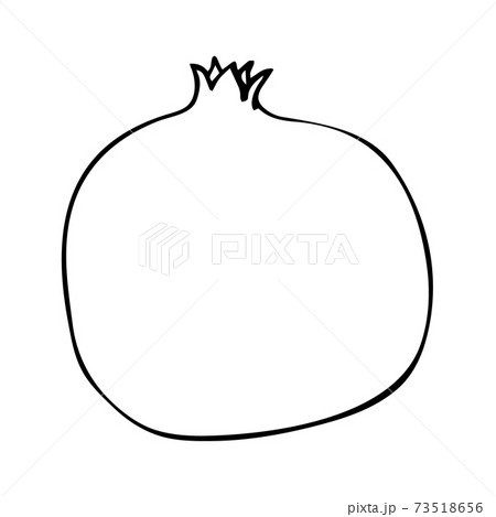 Pomegranate illustration in line art isolated on 73518656