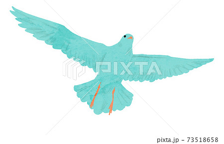 Flying bird watercolor illustration vector Flying bird watercolor illustration vector 73518658