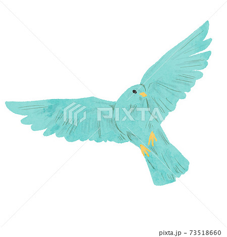 Flying Bird Watercolor Illustration Vectorのイラスト素材